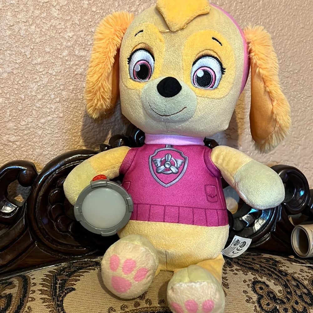 Paw patrol 🐾 🐾
